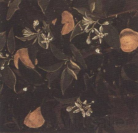 Sandro Botticelli Details of Primavera (mk36) Germany oil painting art